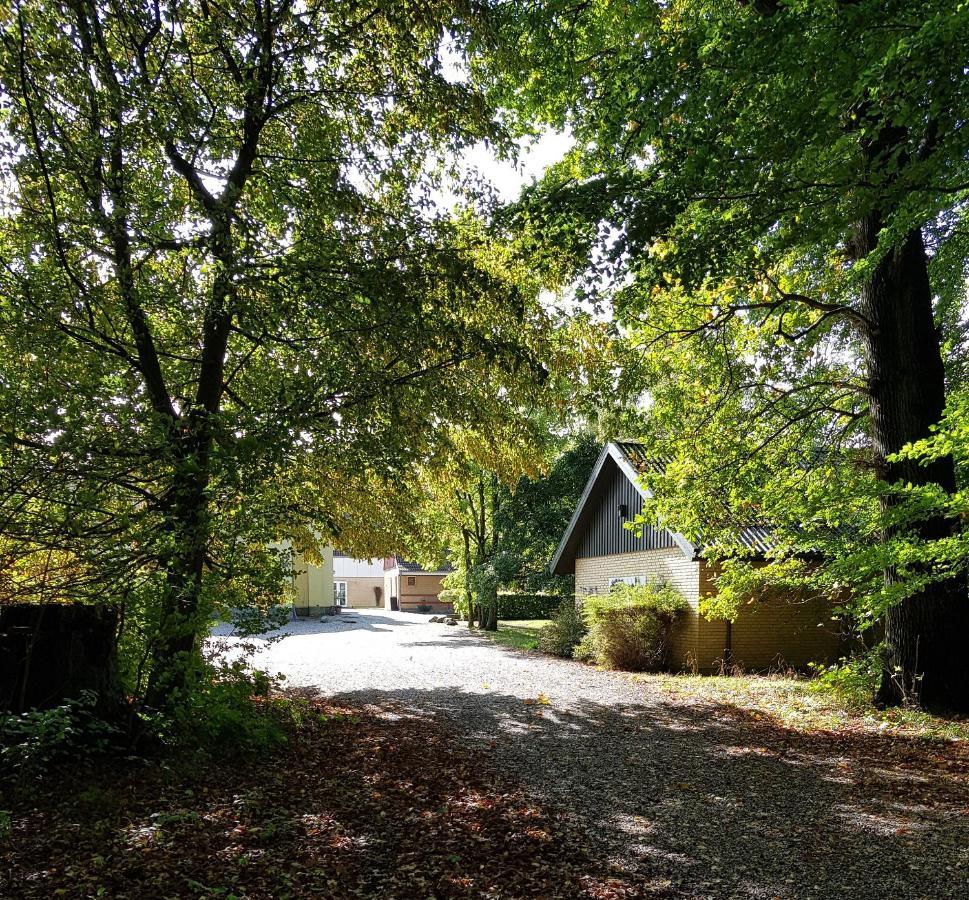 Pederstrup Bed And Breakfast Torrig 外观 照片