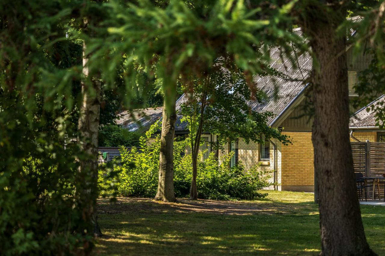 Pederstrup Bed And Breakfast Torrig 外观 照片